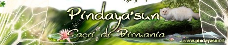Pindaya'sun - Allevamento Sacri di Birmania